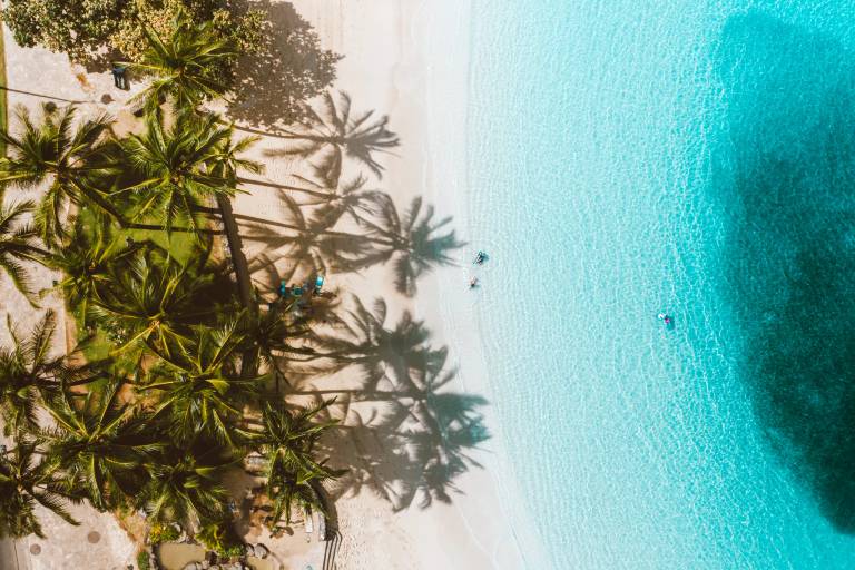 Strand mit Palmen links, Wasser mit Menschen rechts, Vogelperspektive Strand mit Palmen links, Wasser mit Menschen rechts, Vogelperspektive